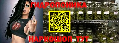 индика Кунгур