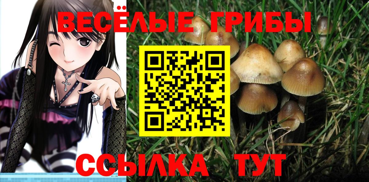 Галлюциногенные грибы Psilocybe  Псилоцибиновые грибы Magic Shrooms  Вход с VPN  Красногорск 